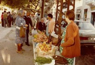 POTAMOS MARKETS 