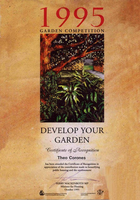 Queensland Government Garden Certificate awarded to Theo Corones. 
