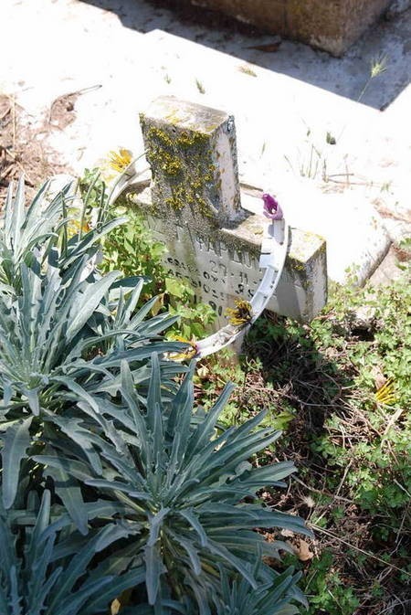 Fardoulis grave marker - Potamos Cemetery (2 of 2) 